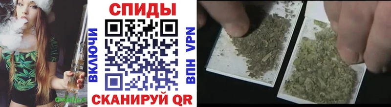 Бутират 99%  наркошоп  Дигора 