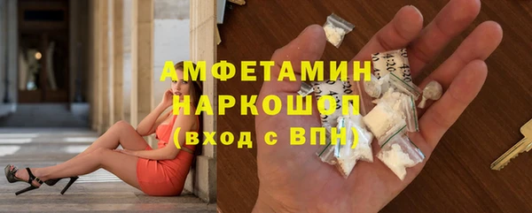 ПСИЛОЦИБИНОВЫЕ ГРИБЫ Сясьстрой