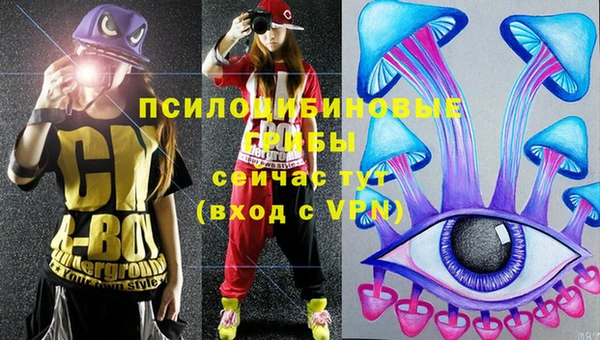a pvp Горняк